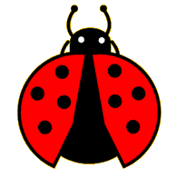 Brooklyn Science Spot Lady Bug
