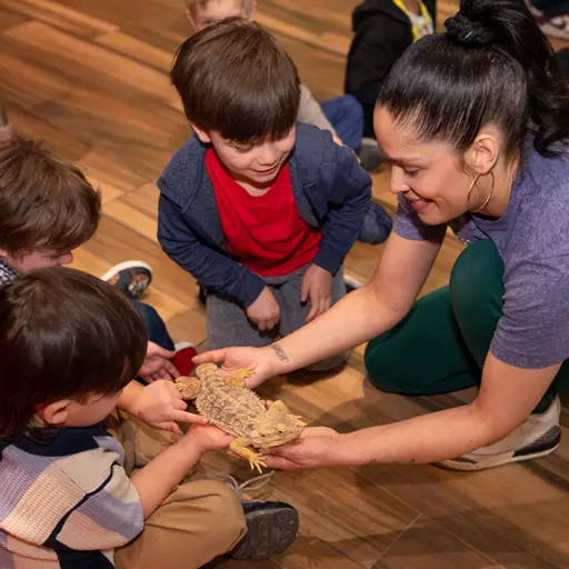 Children interacting with reptiles during educational animal program