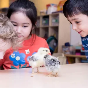 Young scientists learning zoology through interactive experiences