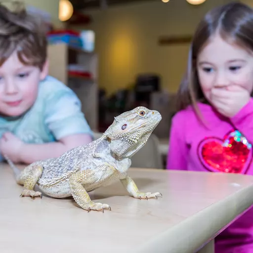 Young scientists learning zoology through interactive experiences