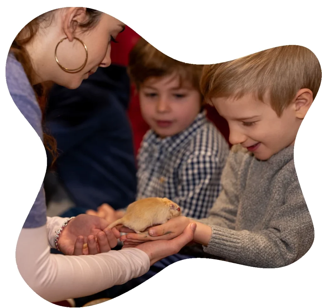 Kids engaging with exotic animals during Brooklyn STEAM enrichment activities