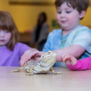 STEM after-school programs Brooklyn